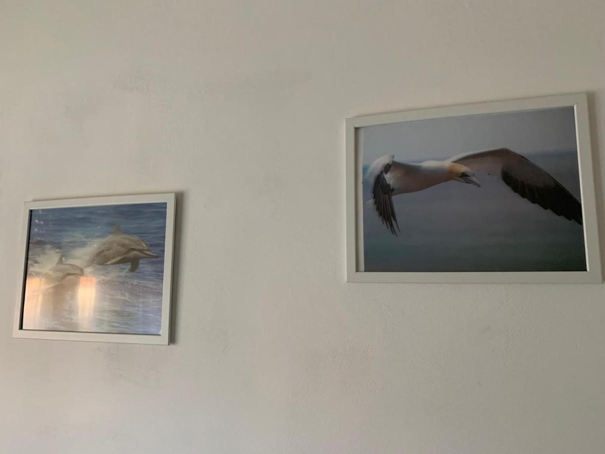 Casa Daniele Lägenhet Lido di Ostia Exteriör bild